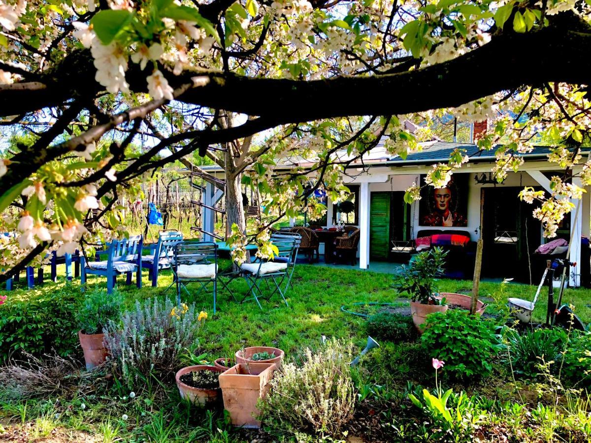 Bohemian Eco Lodge At Lake Balaton Kisapati Exterior photo